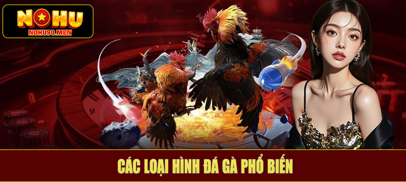 Các loại hình đá gà phổ biến
