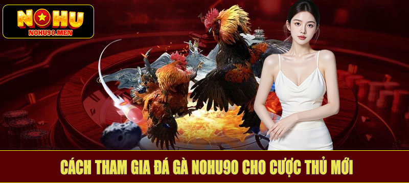 Cách tham gia đá gà NOHU90 cho cược thủ mới
