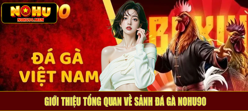 Giới thiệu tổng quan về sảnh đá gà NOHU90